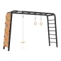 Preview: Berg PlayBase Large TL Complete Set (Disc swing, Rings & Climbing wall)